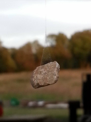 Illustration for article titled Terrifyingly Brilliant Spider Creates Stunningly Advanced Web